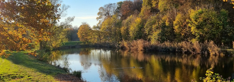 Herbstspaziergang an der Werre_012